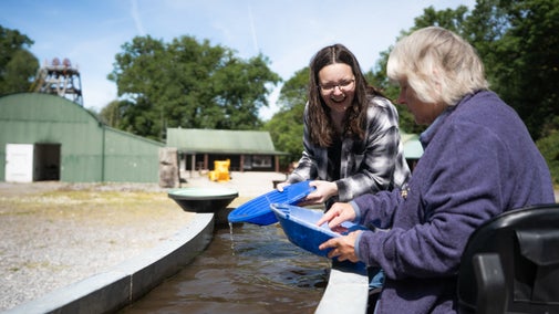 Visitors pan for gold at Dolaucothi, Carmarthenshire